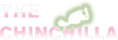chinchilla